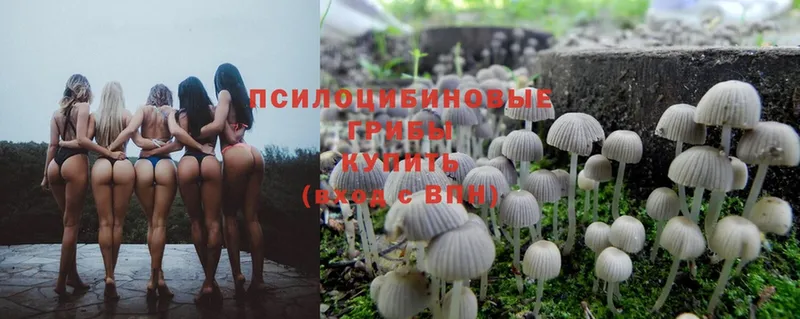 Галлюциногенные грибы Magic Shrooms  купить наркотики цена  Орск 